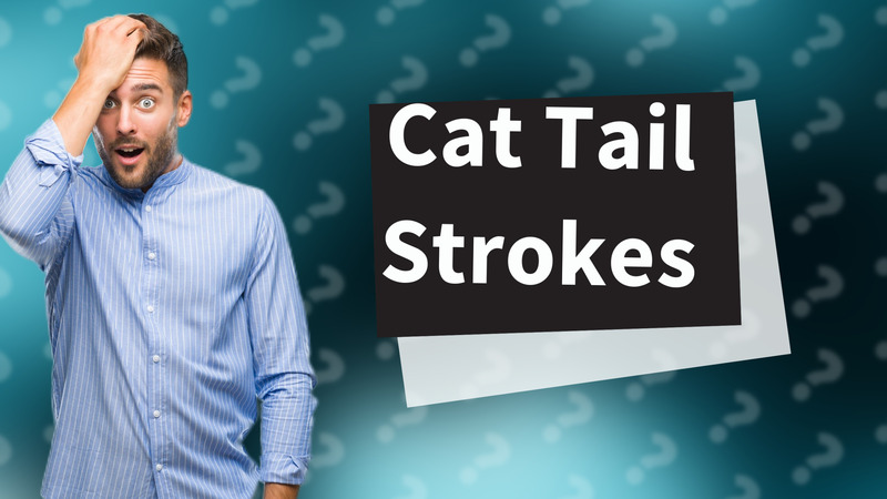 Cat Tail Strokes