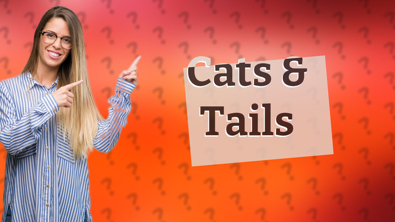 Cats & Tails