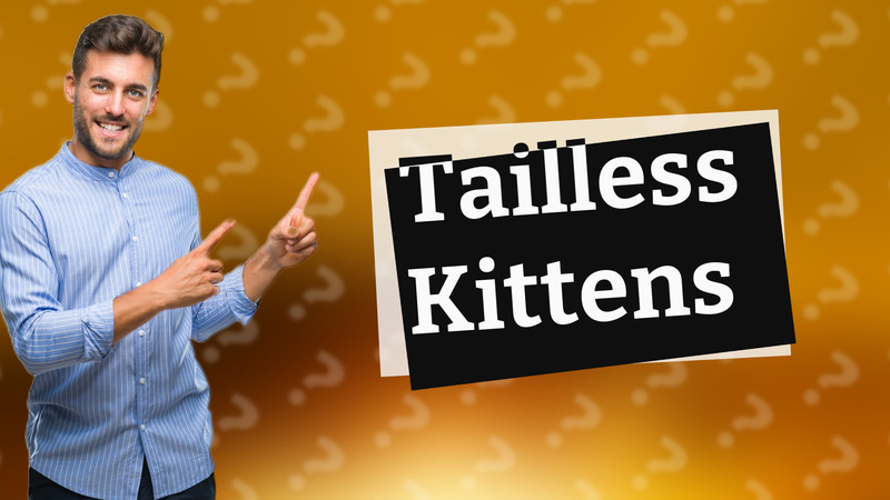 Tailless Kittens