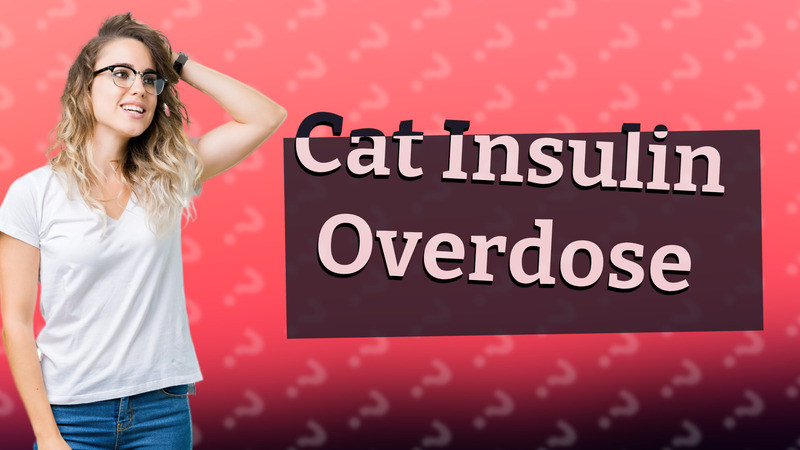 Cat Insulin Overdose