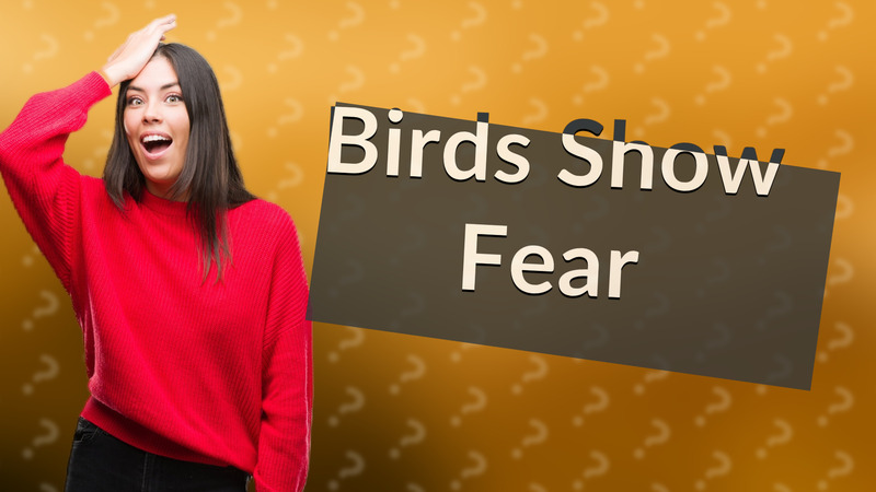 Birds Show Fear