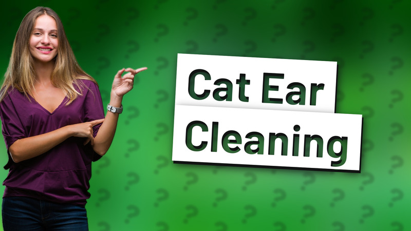 Cat Ear Cleaning