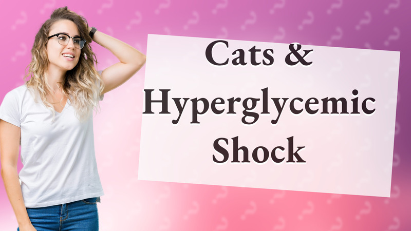 Cats & Hyperglycemic Shock