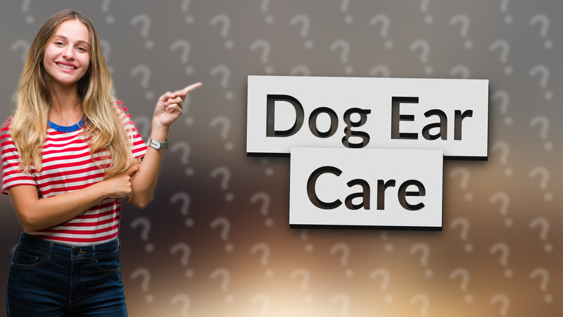 Dog Ear Care