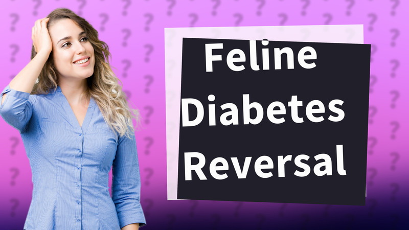 Feline Diabetes Reversal