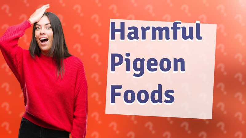 Harmful Pigeon Foods