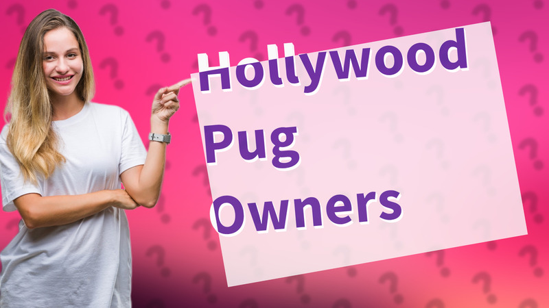 Hollywood Pug Owners