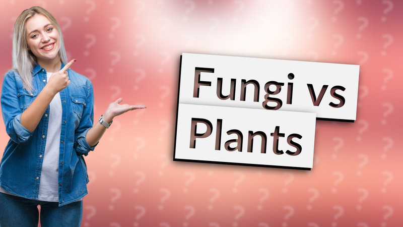 Fungi vs Plants