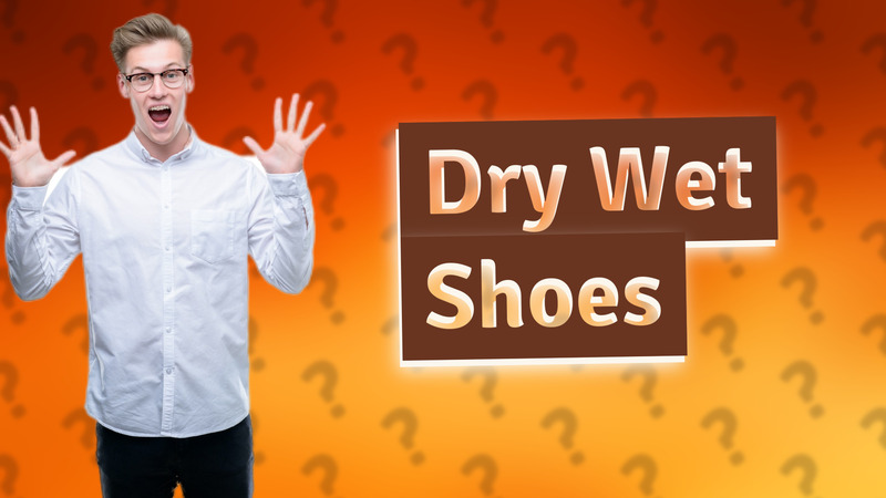 Dry Wet Shoes