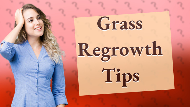 Grass Regrowth Tips