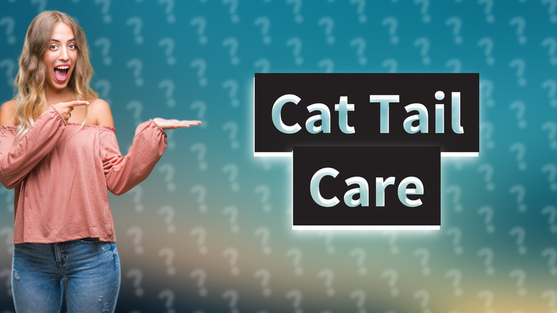 Cat Tail Care