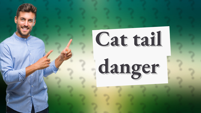 Cat tail danger