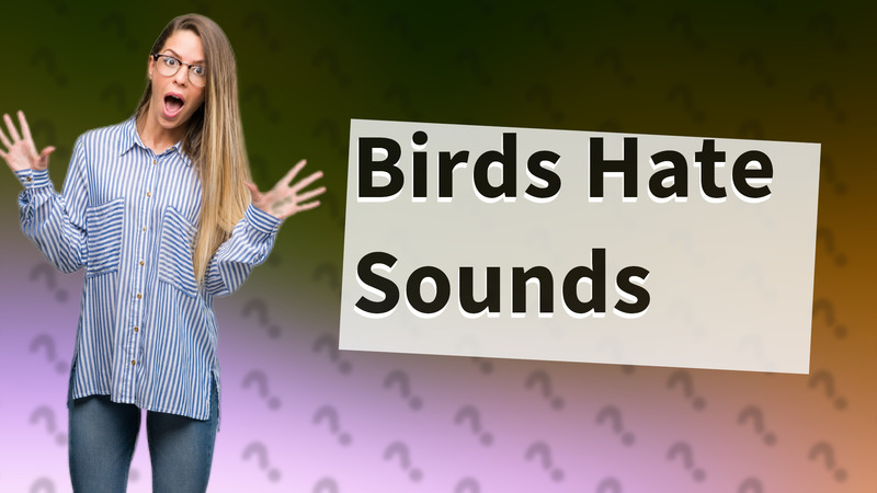 Birds Hate Sounds