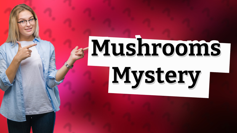 Mushrooms Mystery