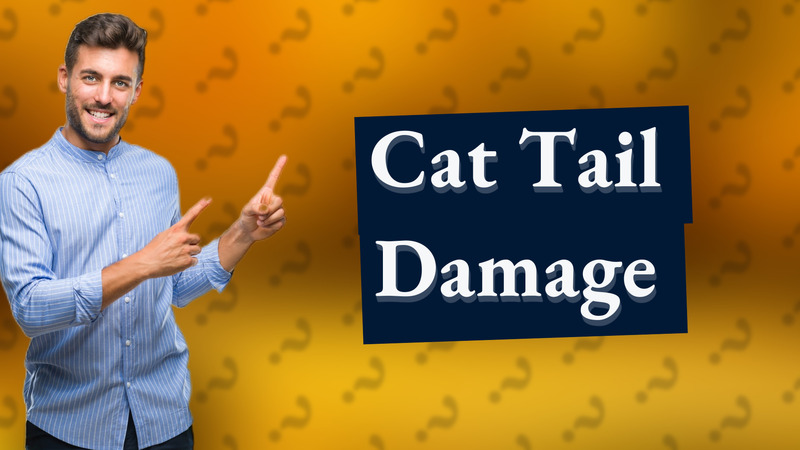 Cat Tail Damage