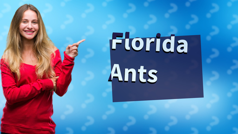 Florida Ants