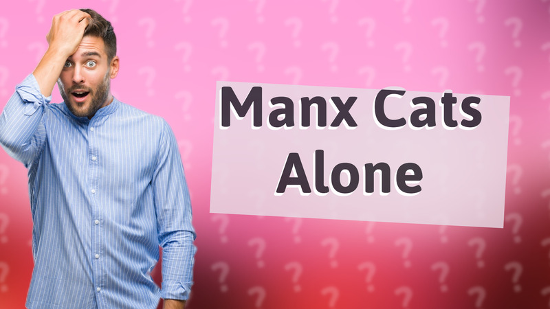 Manx Cats Alone