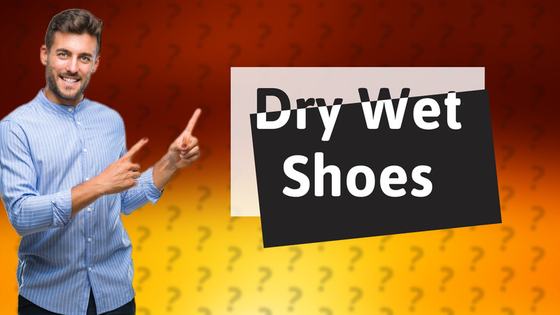 Dry Wet Shoes