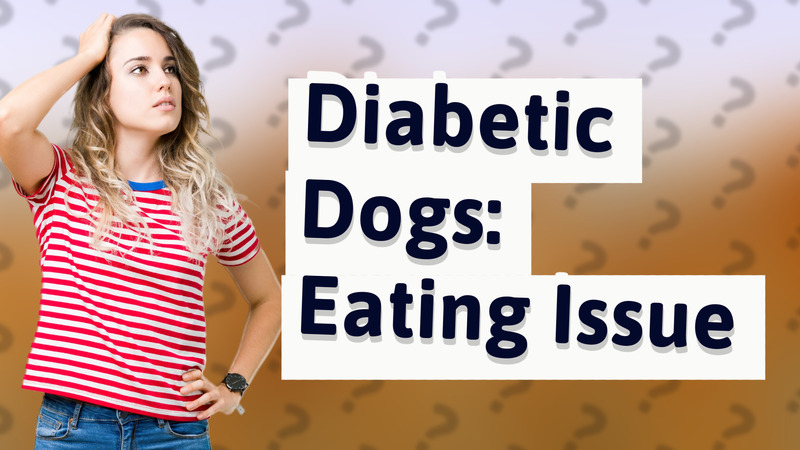 Diabetic Dogs: Eating Issue