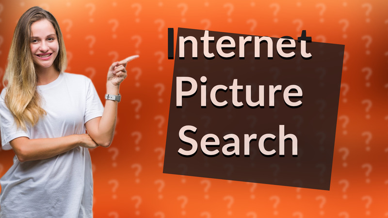 Internet Picture Search