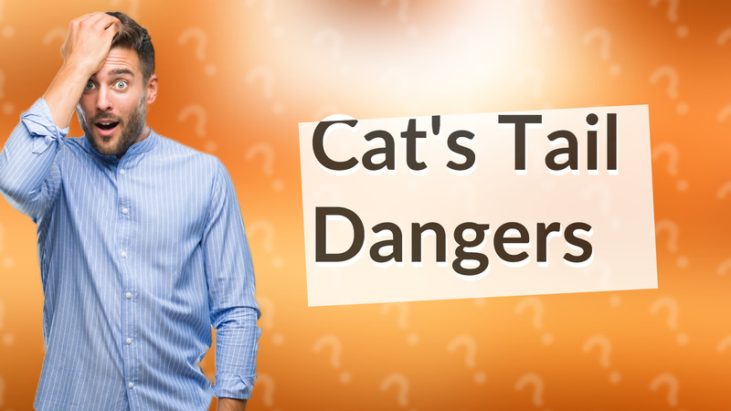 Cat's Tail Dangers