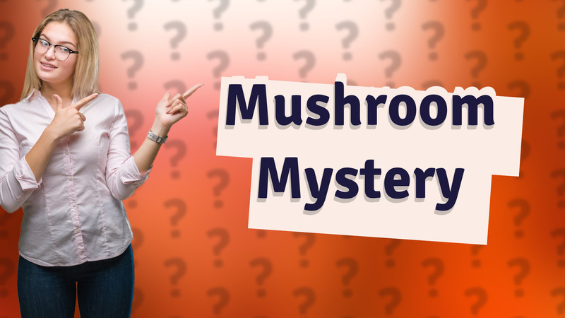 Mushroom Mystery