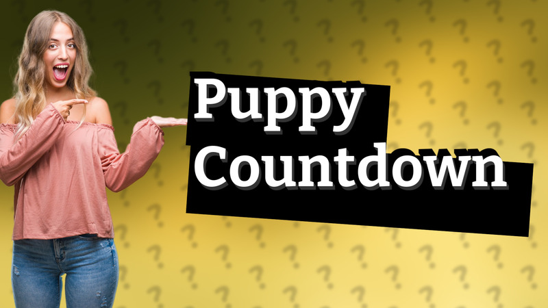Puppy Countdown