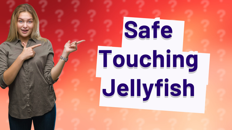 Safe Touching Jellyfish