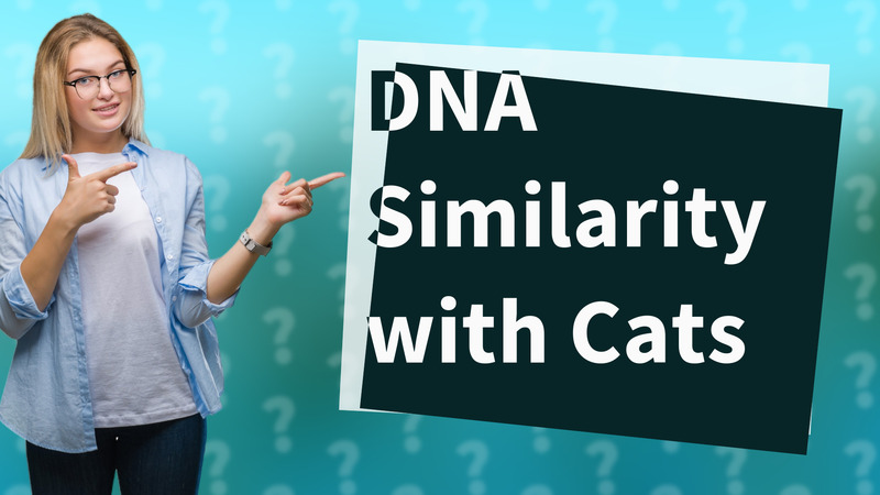 DNA Similarity with Cats
