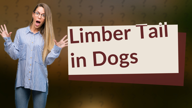 Limber Tail in Dogs
