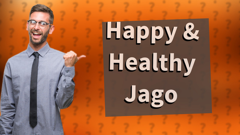 Happy & Healthy Jago