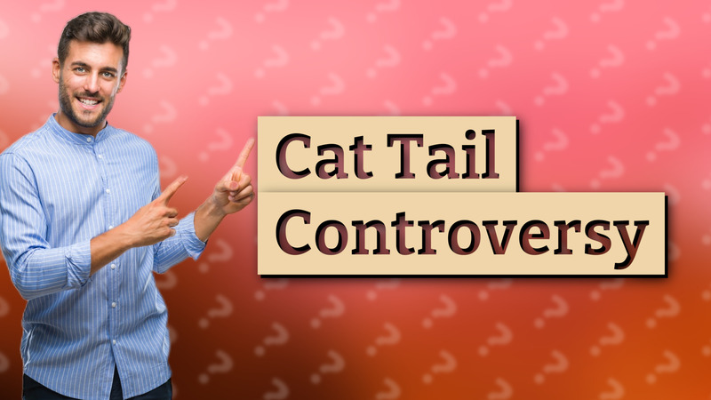 Cat Tail Controversy