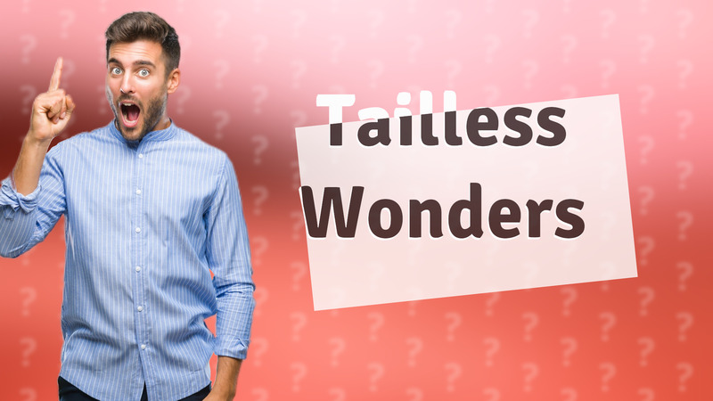 Tailless Wonders