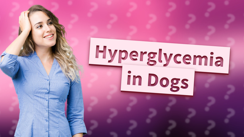 Hyperglycemia in Dogs