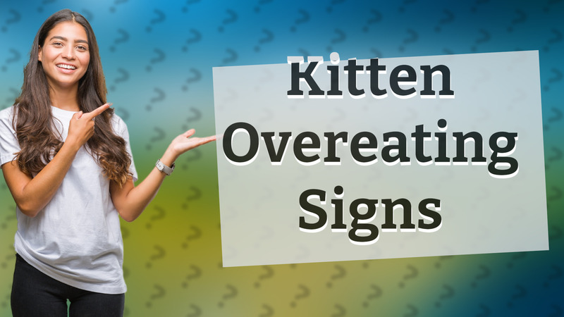 Kitten Overeating Signs