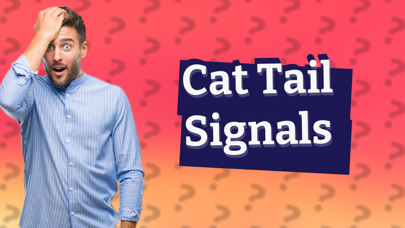 Cat Tail Signals
