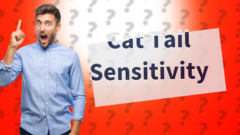 Cat Tail Sensitivity