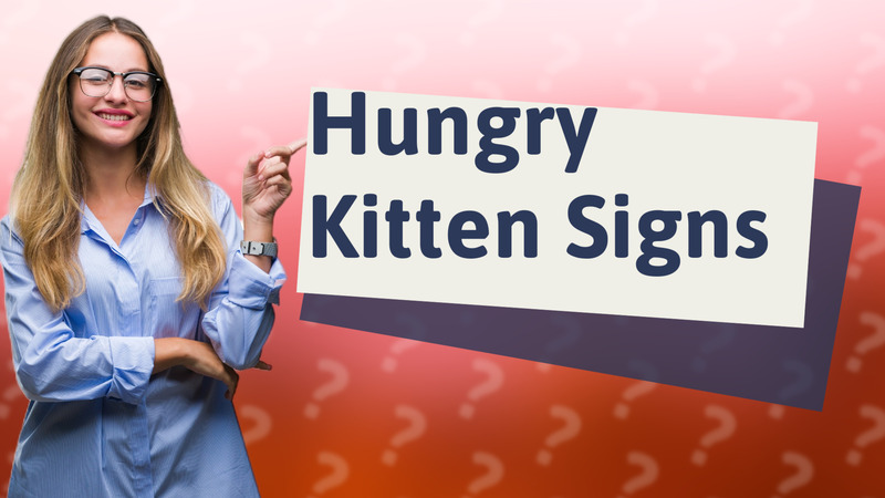 Hungry Kitten Signs