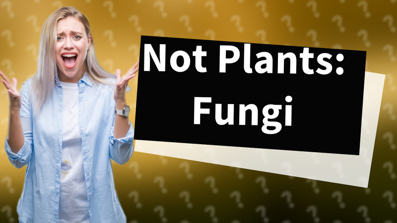 Not Plants: Fungi