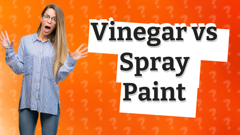 Vinegar vs Spray Paint