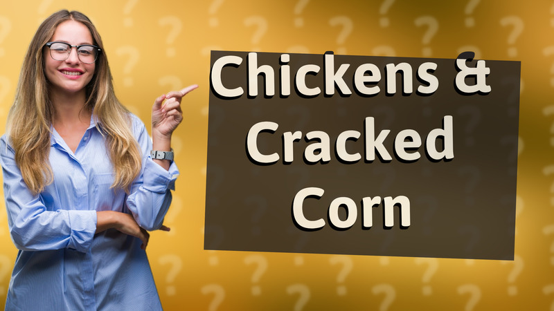 Chickens & Cracked Corn