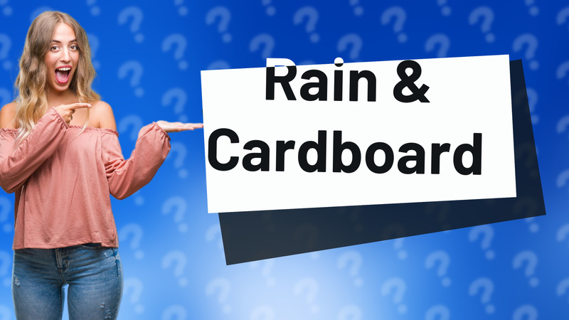 Rain & Cardboard