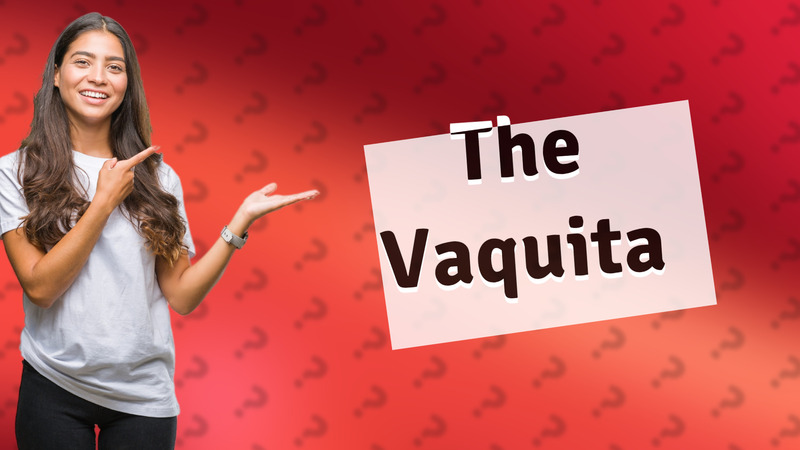 The Vaquita
