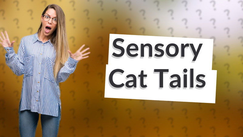 Sensory Cat Tails