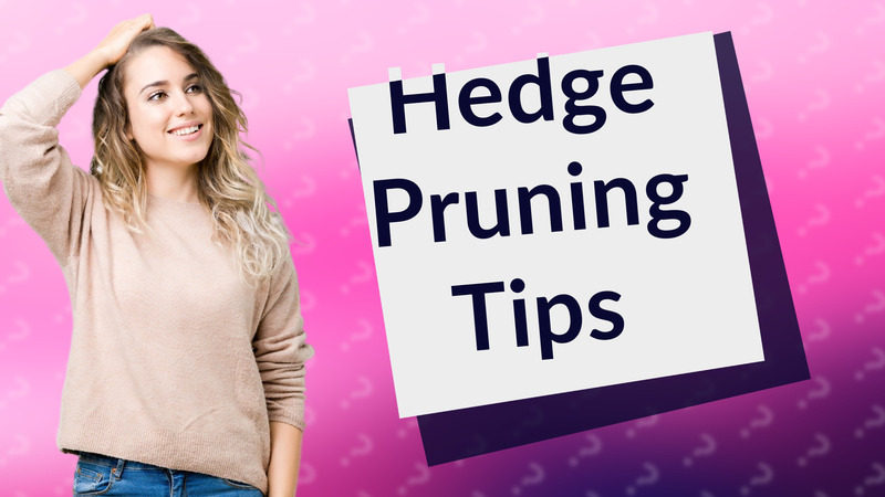 Hedge Pruning Tips