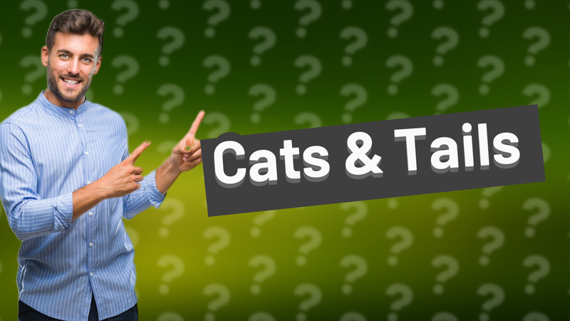 Cats & Tails
