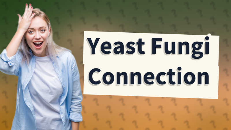 Yeast Fungi Connection