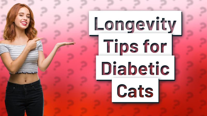 Longevity Tips for Diabetic Cats