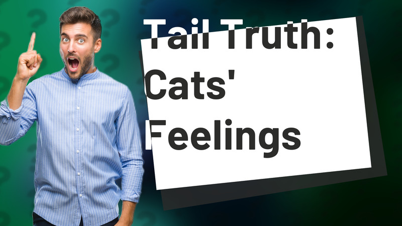 Tail Truth: Cats' Feelings