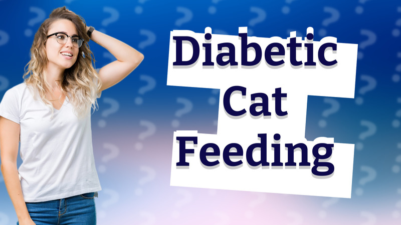 Diabetic Cat Feeding